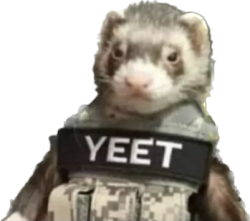 Woe, tactical ferret be upon ye Meme Template
