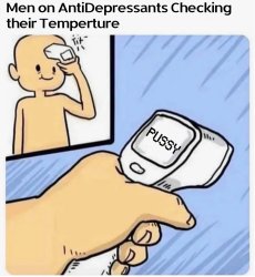 Pussy Meme Template