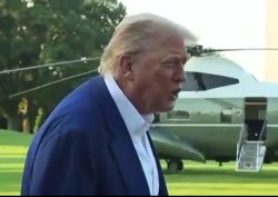Trump they don't know what they're doing Meme Template