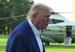 Trump they don't know what they're doing Meme Template