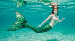 bryon mermaid Meme Template