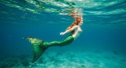 redhead mermaid Meme Template