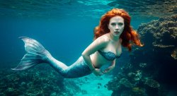 scarlett johanson Meme Template