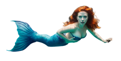 scarlett mermaid Meme Template