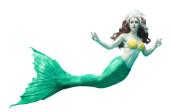 mermaid rogue Meme Template