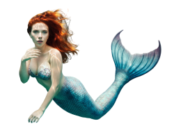 scarlett johansson mermaid Meme Template
