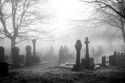 Graveyard Meme Template