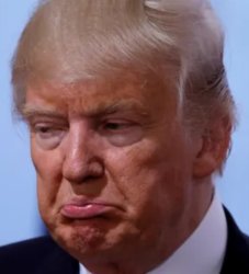 trump sad Meme Template