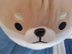 Shiba Meme Template