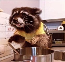 Racoon cook Meme Template