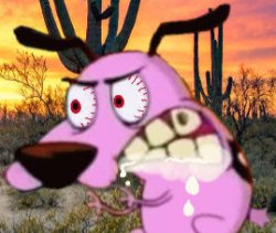 Courage pissed Meme Template
