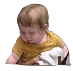 Brittany Pettersen's Baby Meme Template