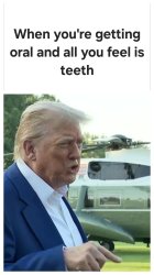 Trump They don't know wtf they're doing Meme Template