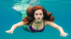 bryce mermaid Meme Template