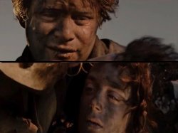 Remember Mr. Frodo Meme Template