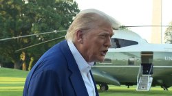 Trump they dont know wtf they're doing Meme Template