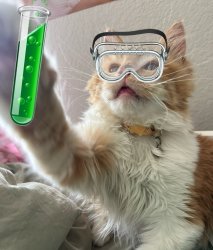 For Science Cat! Meme Template