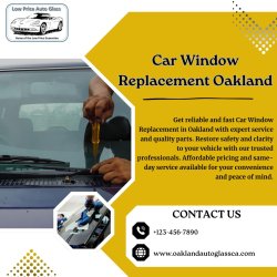 Car Window Replacement Oakland Meme Template