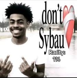 Dont. Sybau Meme Template