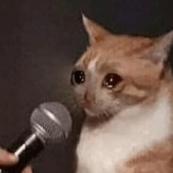 cat on mic Meme Template