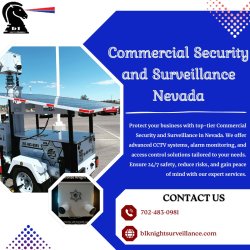 Commercial Security and Surveillance Nevada Meme Template