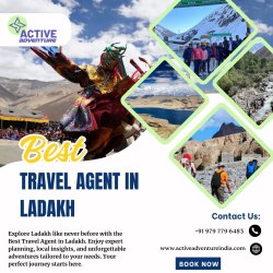 Best Travel Agent in Ladakh Meme Template