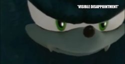 Werehog visible dissapointment Meme Template