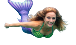 jodi mermaid Meme Template