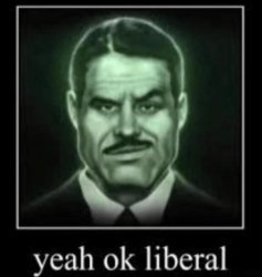 Yeah OK liberal Meme Template