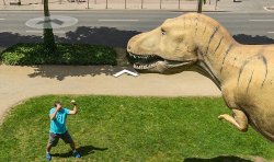 Guy fighting a Dinosaur Meme Template