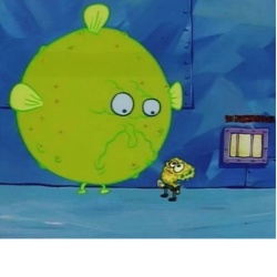 Spongebob pufferfish Meme Template