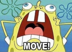 MOVE! Meme Template