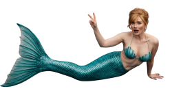 mermaid bryce dallas howard Meme Template