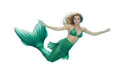 mermaid melania Meme Template