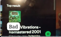 Bad Vibrations Meme Template