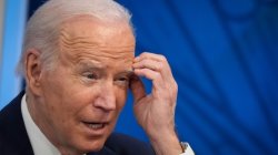 Confused Joe biden Meme Template