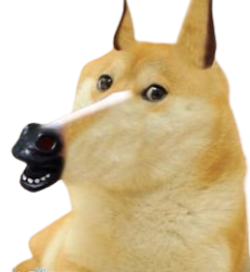 Horse doge Meme Template