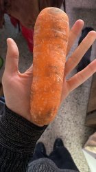 Giant Carrot Meme Template