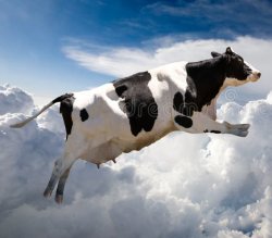 Flying cow Meme Template