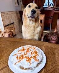 Birthday Blues Meme Template