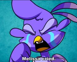 Melissa cried. Meme Template