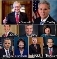 Asswipe RINO Republicans Meme Template