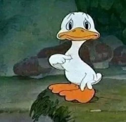 ducking pointing at himself Meme Template