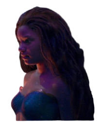halle ariel Meme Template
