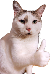 Ok Dydu Meme Template