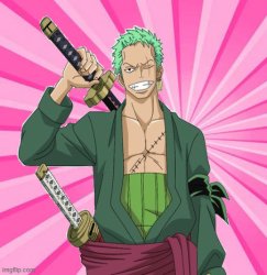 zoro pink Meme Template