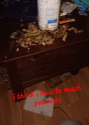 Too much? No such thing Meme Template