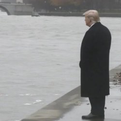 My mood today (Trump) Meme Template
