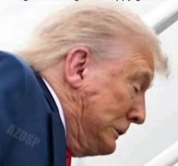 Miracle Ear caught a load Meme Template
