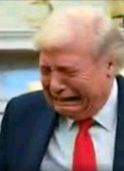 Trump Meme Template